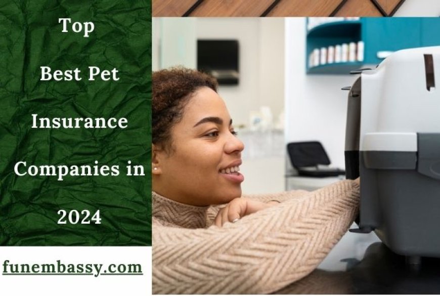 Top Best Pet Insurance Companies in 2024