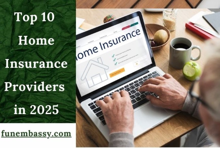 Top 10 Home Insurance Providers in 2025